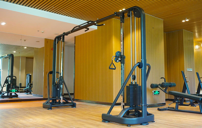 酒店健身房器材,高端健身房器材,室内健身器材-广西舒华体育健身器材有限公司
