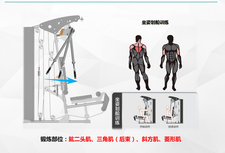 多功能单人站综合训练器SH-G6501-广西舒华体育-专业健身器材品牌优质厂家